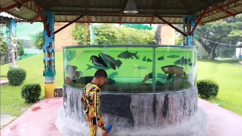 outdoor breeding aquarium rajamangala trang aquarium