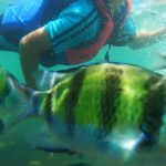 snorkeling in ao nang krabi